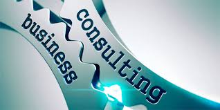 DIGITAL BUSINESS CONSULTING AND PROJECT MANAGEMENT
